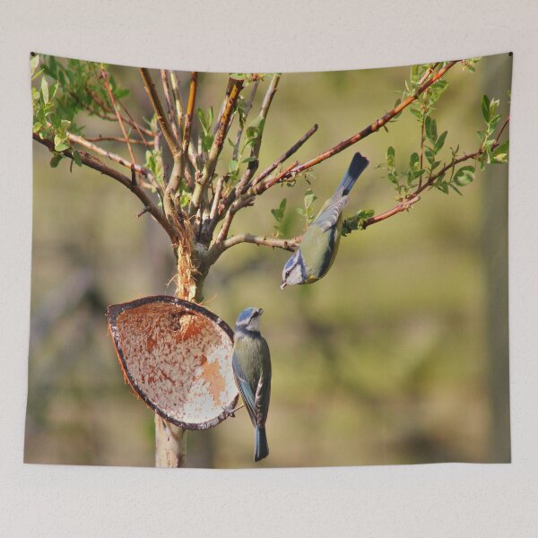 Item preview, Blue Tits designed and sold by Vicki Spindler (VHS Photography).