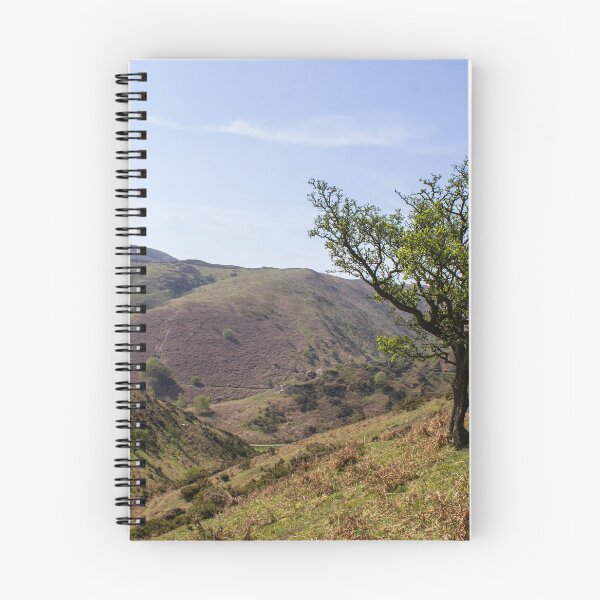 Item preview, View of carding mill valley and the Longmynd Shropshire, April 2022 designed and sold by HalcyonPrints.