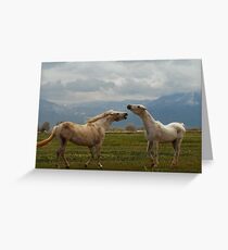 Playful Greeting Card