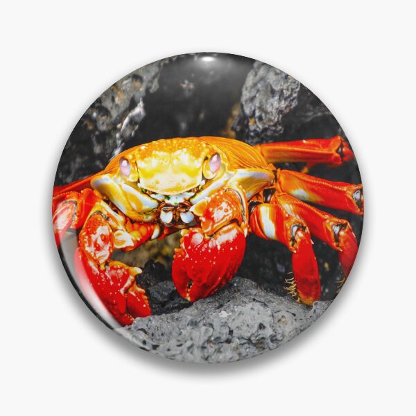 Item preview, fwc 0587 crab sea Ocean rock designed and sold by fred chiea.