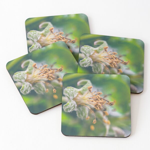 Item preview, Apple Blossom designed and sold by TimConstable.