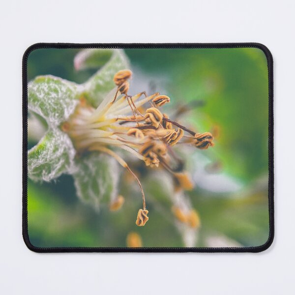 Item preview, Apple Blossom designed and sold by TimConstable.