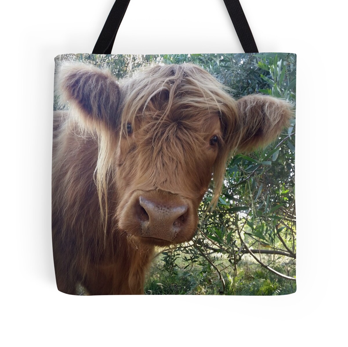 highland cow teddy bear