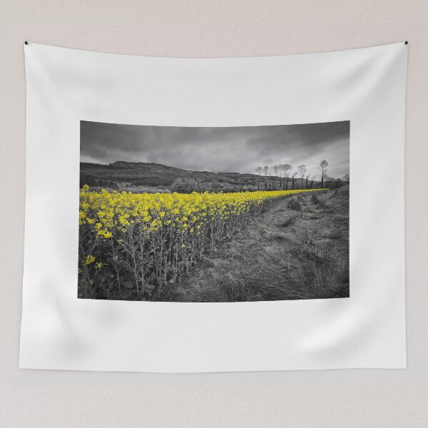 Item preview, Binevenagh on Yellow 2 designed and sold by Nigel R Bell Photography.