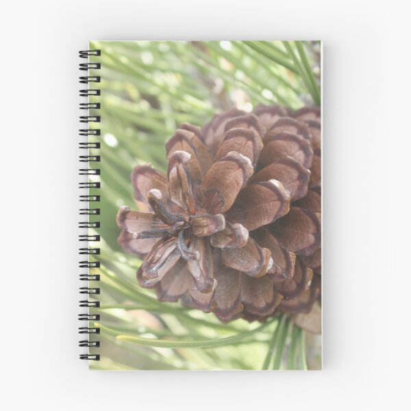 Item preview, Pine close-up designed and sold by stephenralph.