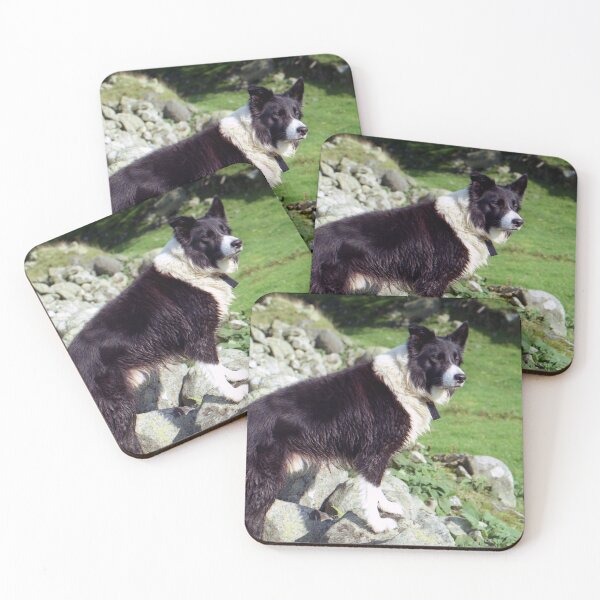 Item preview, Indy on the Rocks designed and sold by Michael Haslam.