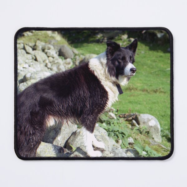 Item preview, Indy on the Rocks designed and sold by Michael Haslam.