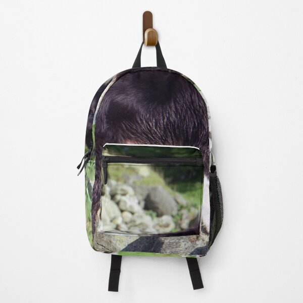 Item preview, Indy on the Rocks designed and sold by Michael Haslam.