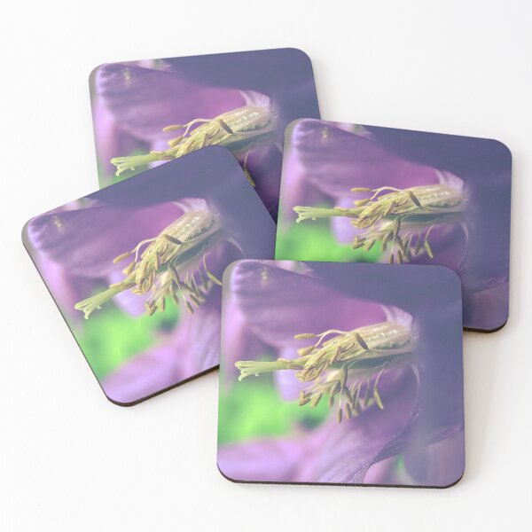 Item preview, Aquilegia Vulgaris designed and sold by TimConstable.