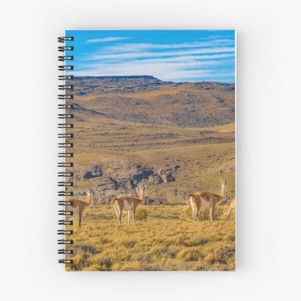 Item preview, Group of Vicunas at Patagonia Landscape, Argentina designed and sold by DFLC Prints.