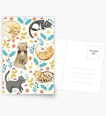 My Cats Postcards