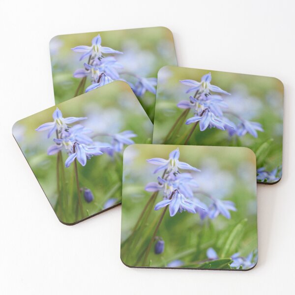 Item preview, Siberian Squill group designed and sold by Jouko Lehto Photography.