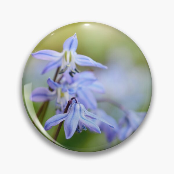 Item preview, Siberian Squill group designed and sold by Jouko Lehto Photography.