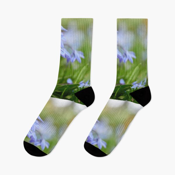 Item preview, Siberian Squill group designed and sold by Jouko Lehto Photography.