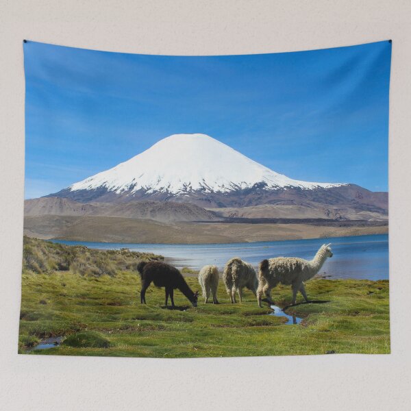 Item preview, Chungara Lake, Chile 2 designed and sold by Kurt  Van Wagner.