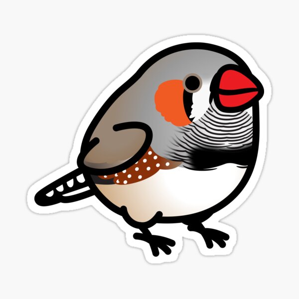 Chubby Zebra Finch Sticker