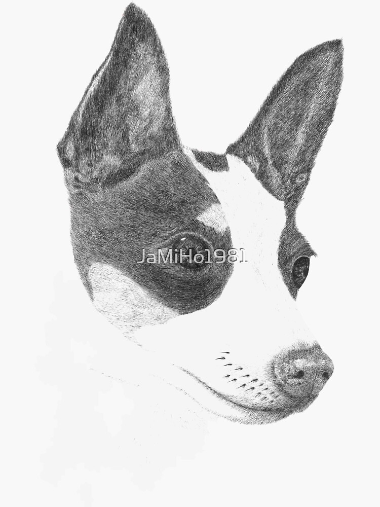 "Toy Fox Terrier" Sticker for Sale by JaMiHo1981 Redbubble