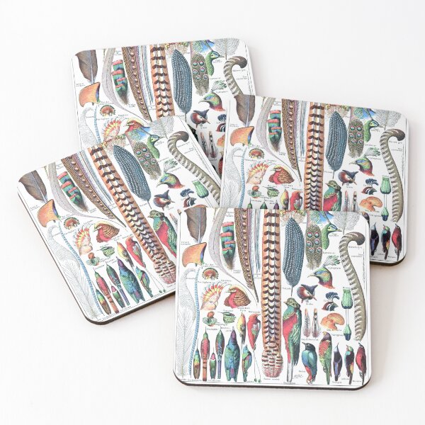 Item preview, vintage feather identification poster designed and sold by cutesy.