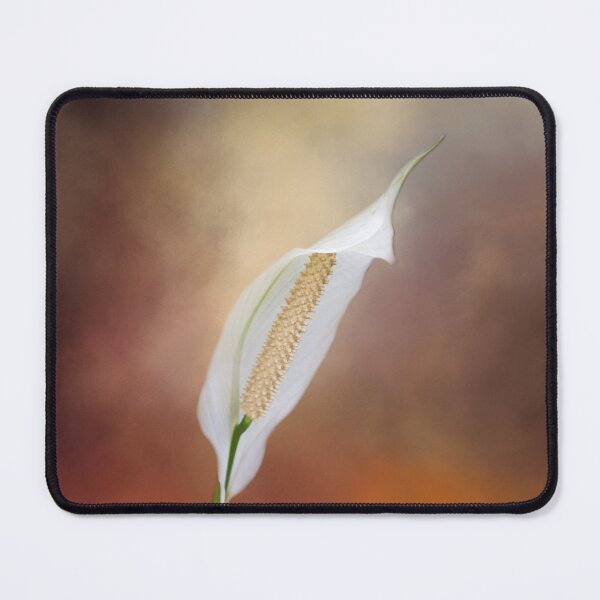 Item preview, Snow White Anthurium designed and sold by Elisabeth Lucas.
