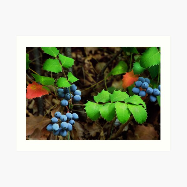 Primary Colors Art Print