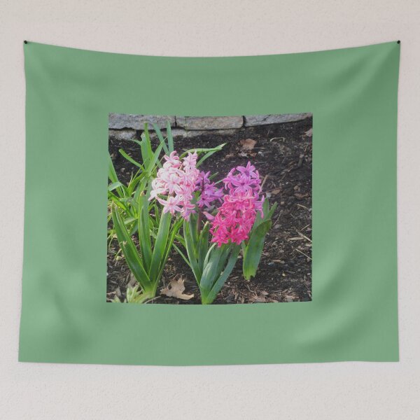 Item preview, Pink Hyacinths designed and sold by Shulie1.