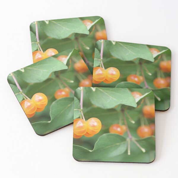 Item preview, Currants in the Woods designed and sold by Douglas E. Welch Design and Photography.