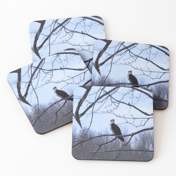 Item preview, Sitting osprey  designed and sold by enchantedvibes.