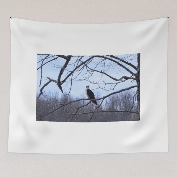 Item preview, Sitting osprey  designed and sold by enchantedvibes.