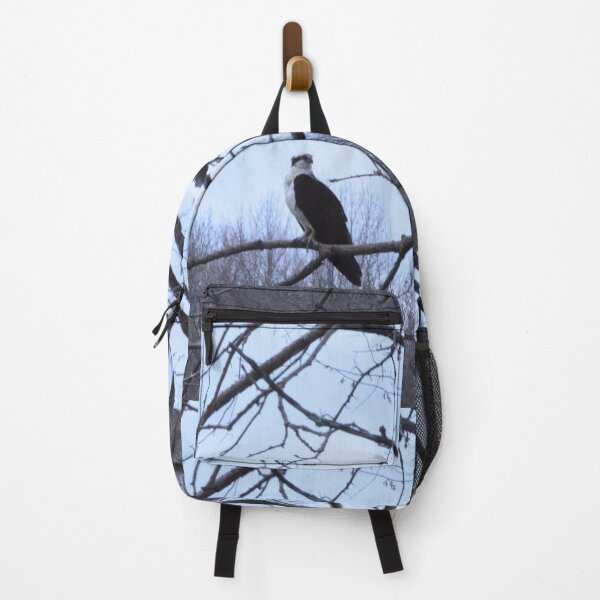 Item preview, Sitting osprey designed and sold by enchantedvibes.