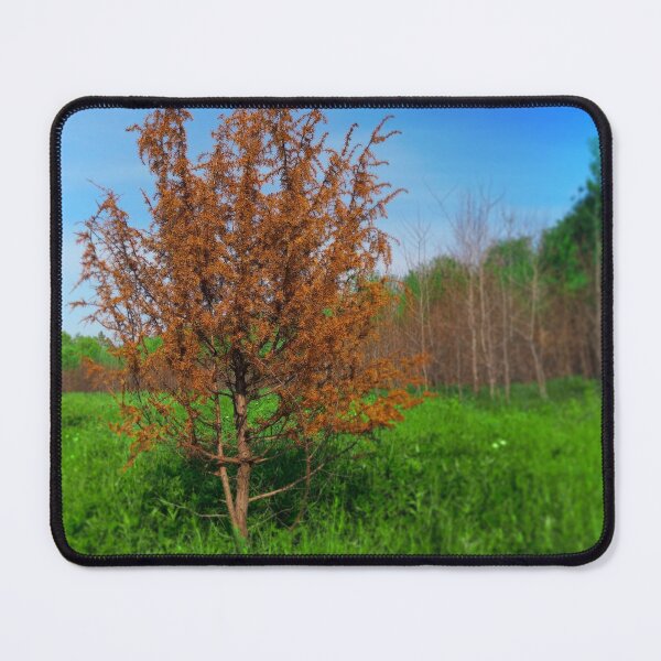 Item preview, Small Tree designed and sold by Vladan Seva.