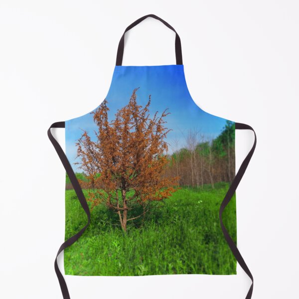Item preview, Small Tree designed and sold by Vladan Seva.