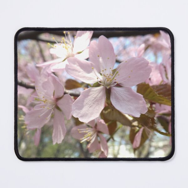 Item preview, Cherry Blossom Macro Flower designed and sold by EzbieArt.
