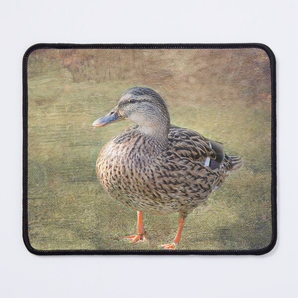 Item preview, Mallard designed and sold by Elisabeth Lucas.