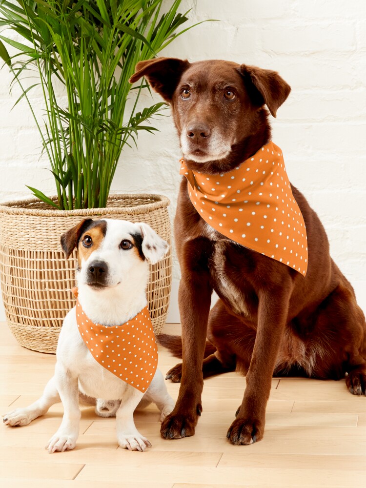 Pumpkin bandana for store dogs