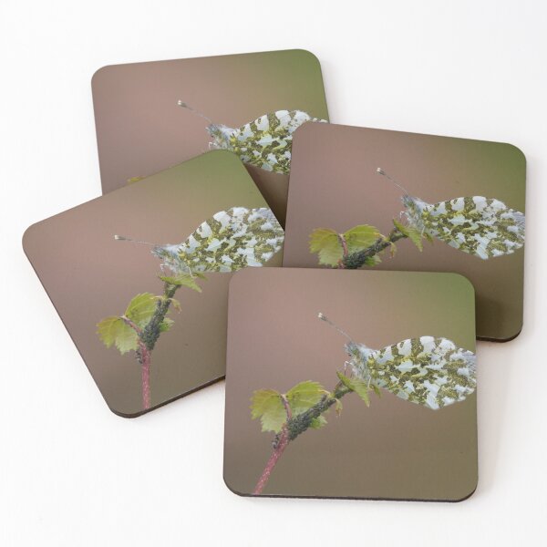 Item preview, Orange Tip designed and sold by LaurenTucker.