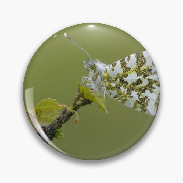 Item preview, Orange Tip designed and sold by LaurenTucker.