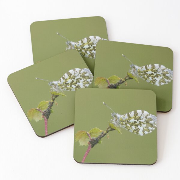 Item preview, Orange Tip designed and sold by LaurenTucker.