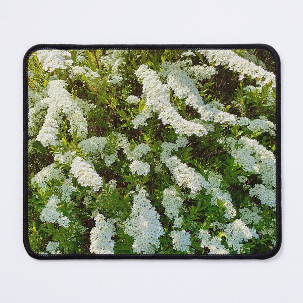 Item preview, Beautiful Blossoming White Spiraea designed and sold by ckylin.
