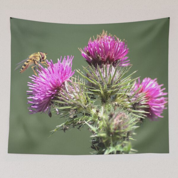 Item preview, Summer Thistle designed and sold by Jeremy Hayden.