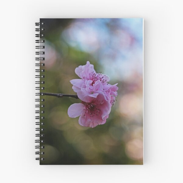 Item preview, Before We Fade Away designed and sold by Evita.