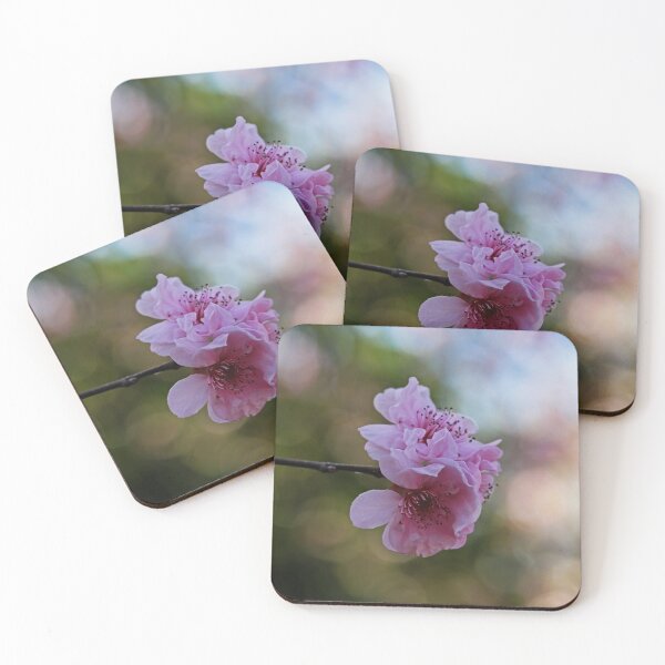 Item preview, Before We Fade Away designed and sold by Evita.