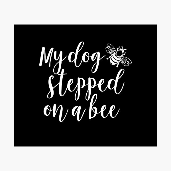 My Dog Stepped on a Bee Amber Heard SVG Digital Download 