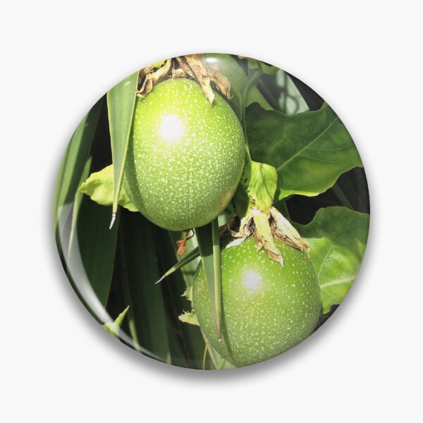 Artikelvorschau, Passionsfrucht am Rebstock entworfen und verkauft von EverydayPantry.