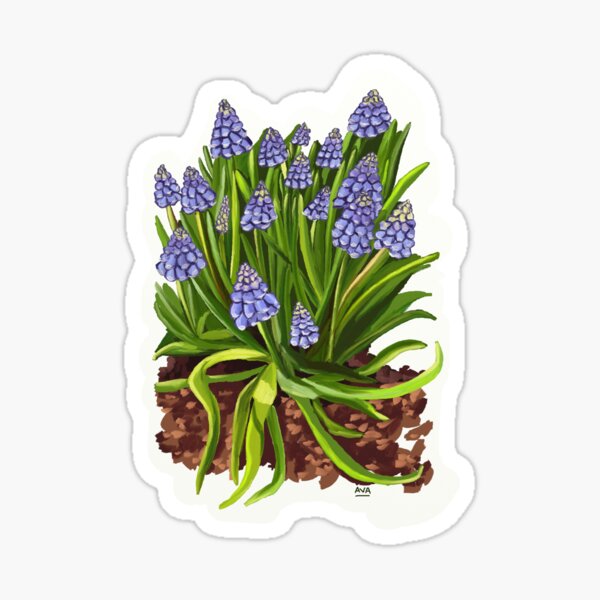 Fleurs de printemps violettes Sticker