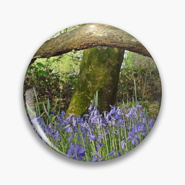 Item preview, Bluebells under Deadwood designed and sold by Barrie Woodward.