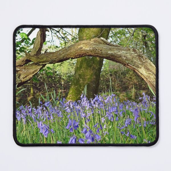 Item preview, Bluebells under Deadwood designed and sold by Barrie Woodward.