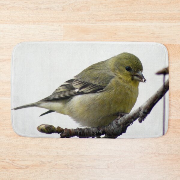 Item preview, Female Goldfinch snack; La Mirada, CA USA designed and sold by leih2008.