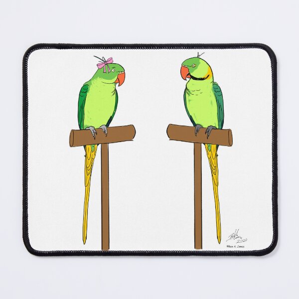 Item preview, Crazy Bird Person with Indian Ring Neck Parrots designed and sold by Laughing Parrot Studio.