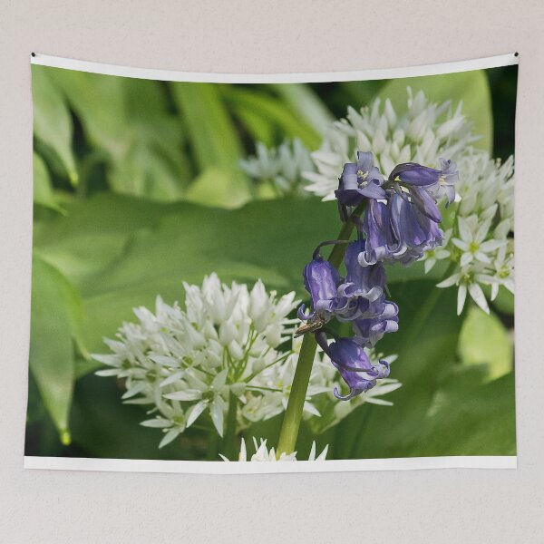Item preview, English Wild Flowers - Bluebell and Wild Garlic designed and sold by Violaman.