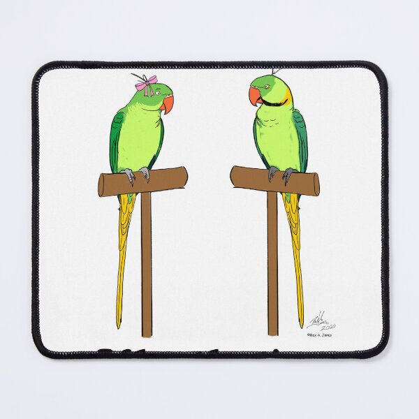 Item preview, Crazy Bird Lady with Indian Ring Neck Parrots designed and sold by Laughing Parrot Studio.